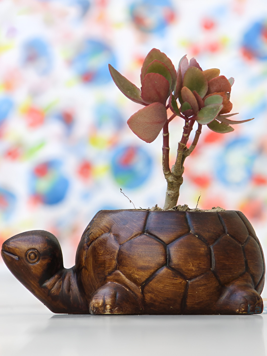 LASAKI Brown Textured Tortoise Shape Ceramic Planters