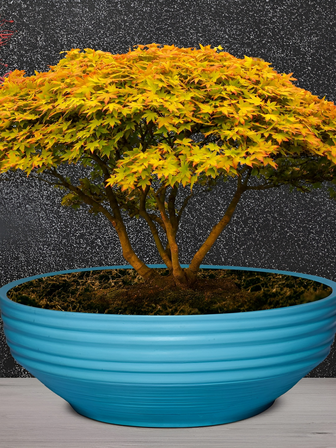 LASAKI Camry Blue Textured Bowl Shape Ceramic Planter