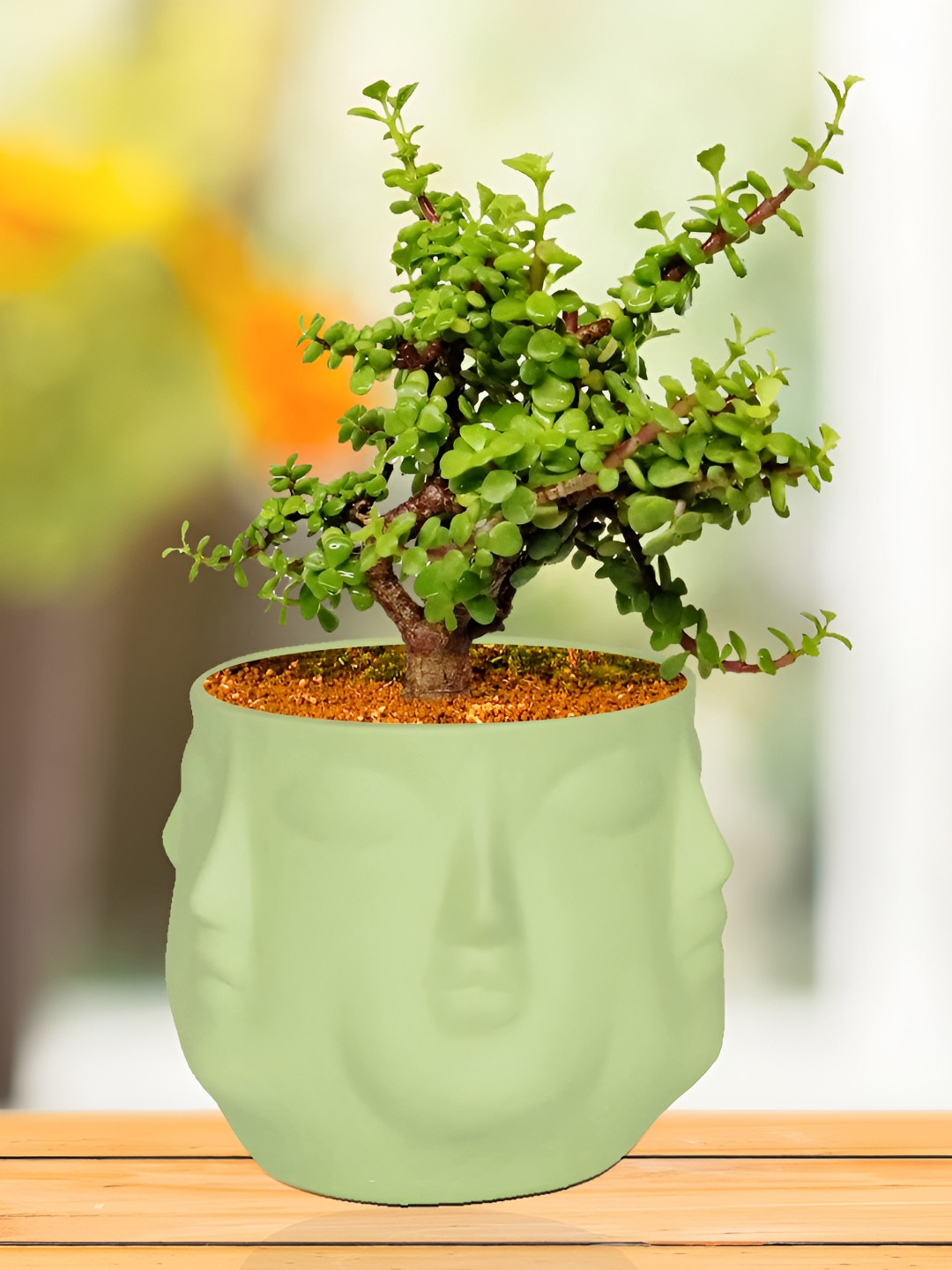 LASAKI Lime Green Textured Ceramic Planters