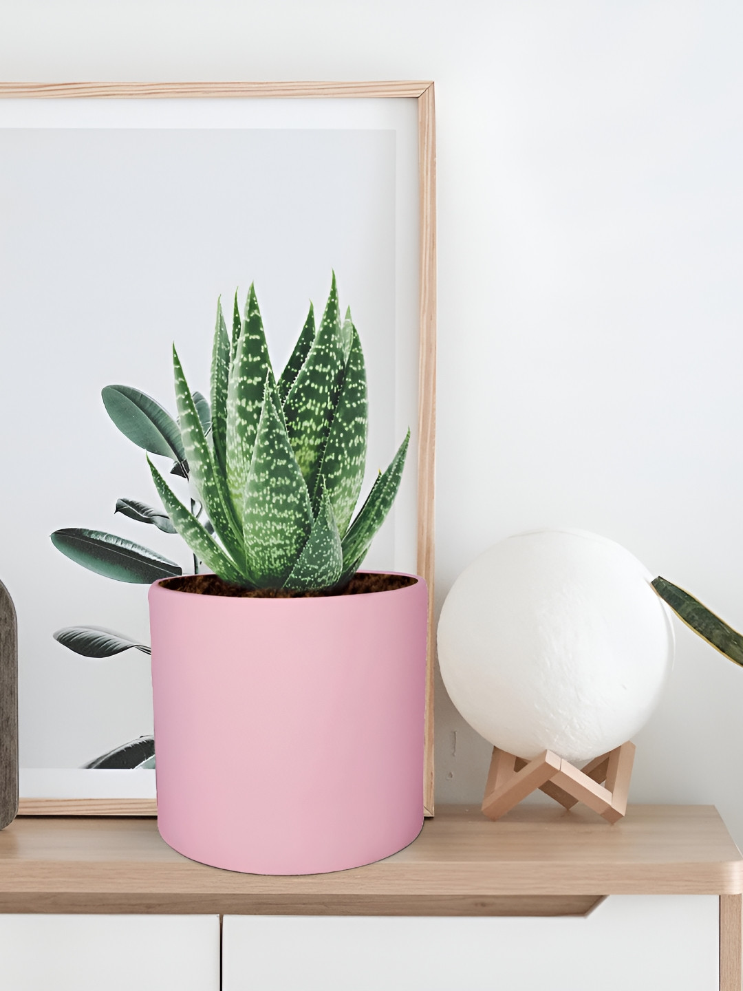 LASAKI Sara Pink Cylindrical Ceramic Planters