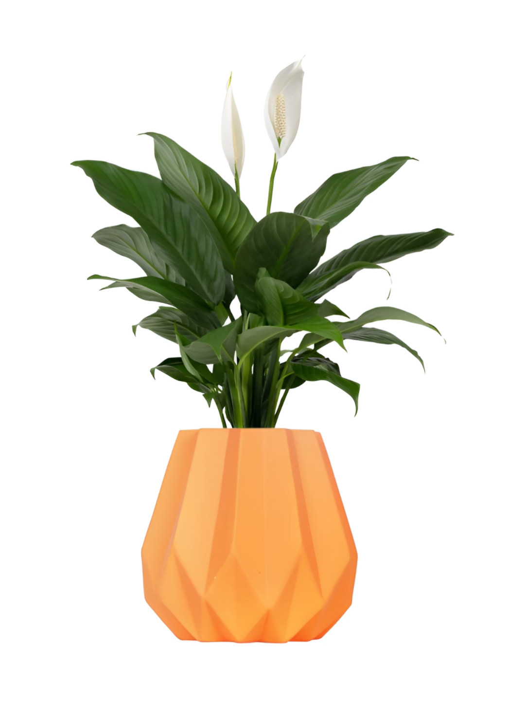 LASAKI Izzy Lily Orange Textured Ceramic Planter