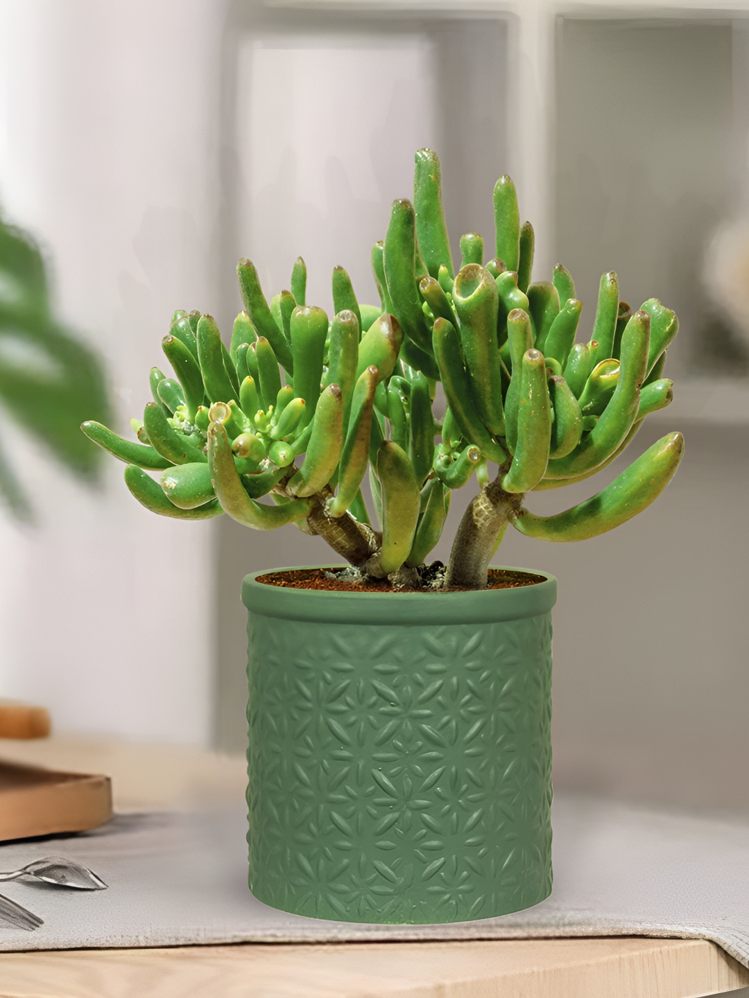 LASAKI Gloria Green Textured Flower Ceramic Planters