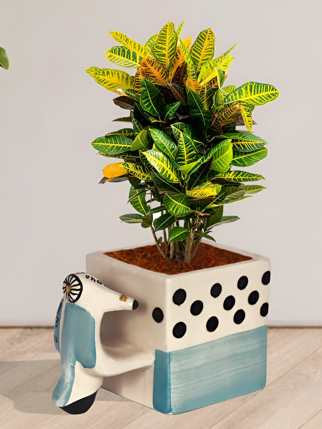 LASAKI Navy Blue & Cream Textured Scooter Shape Ceramic Planters