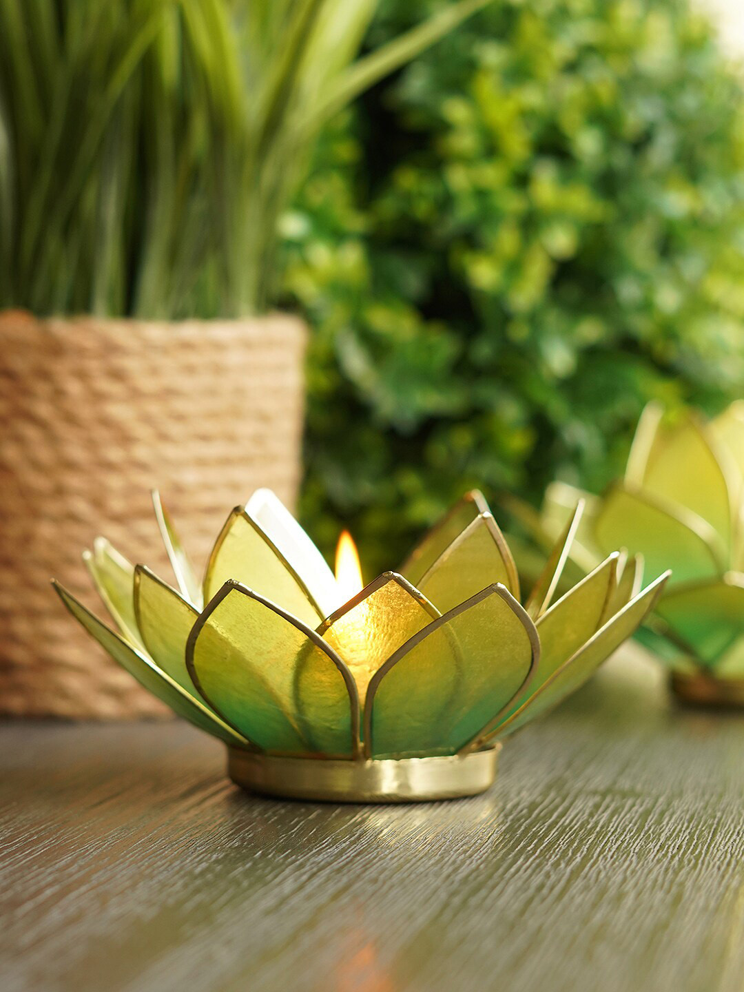 Pure Home and Living Green & Gold Toned 21 Petals Candle Holders