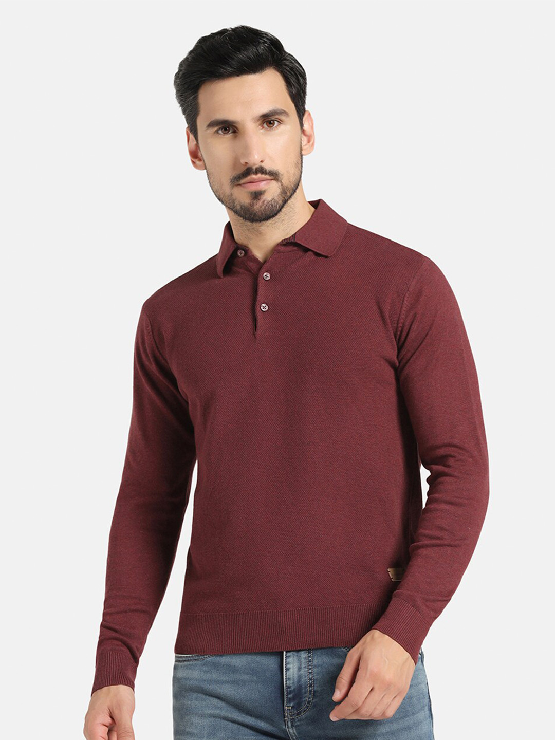 Blackberrys Shirt Collar Long Sleeves Cotton Knit Pullover Sweater