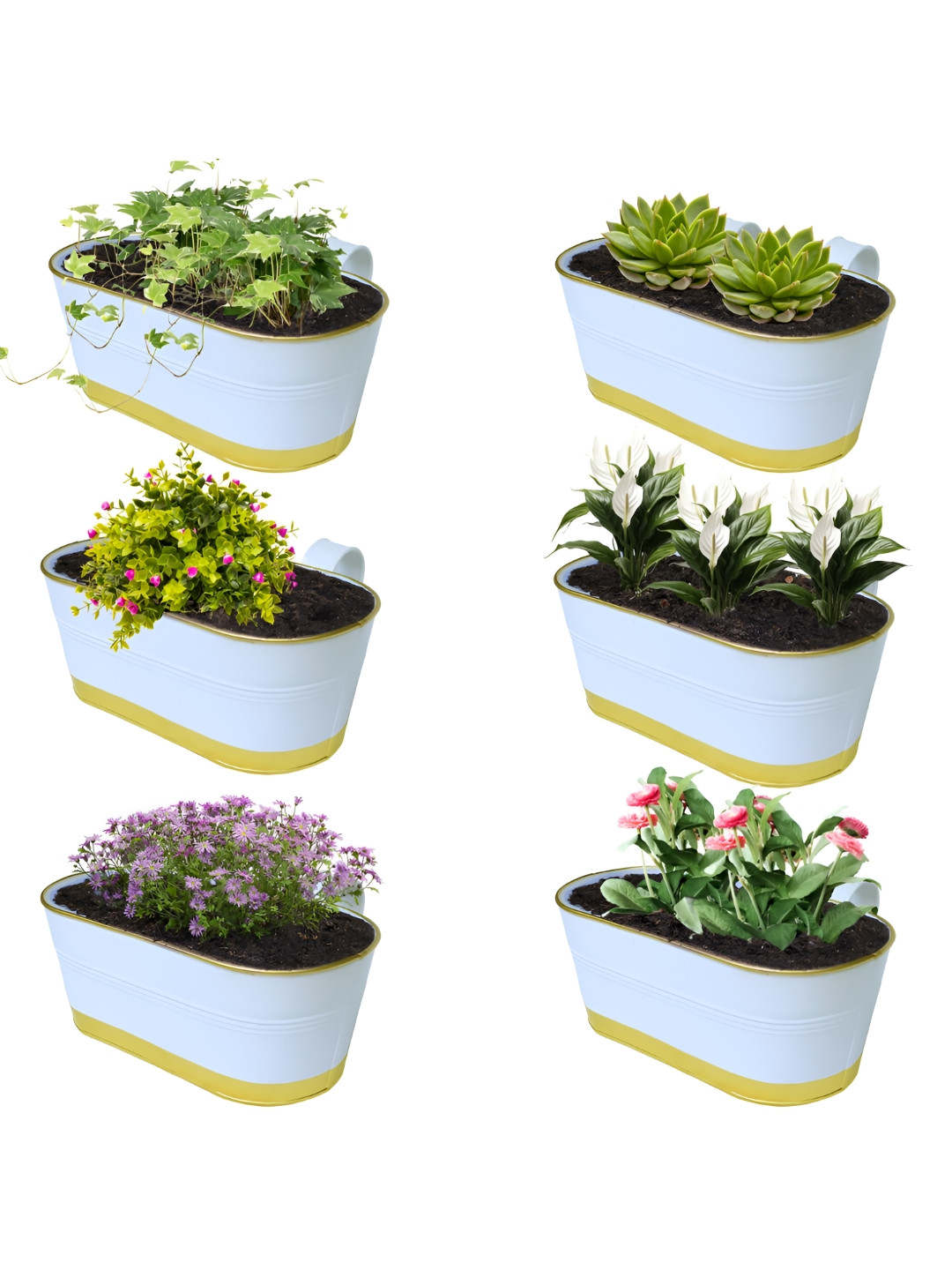 TRUSTBASKET White 6-Pcs Railing Balcony Planters