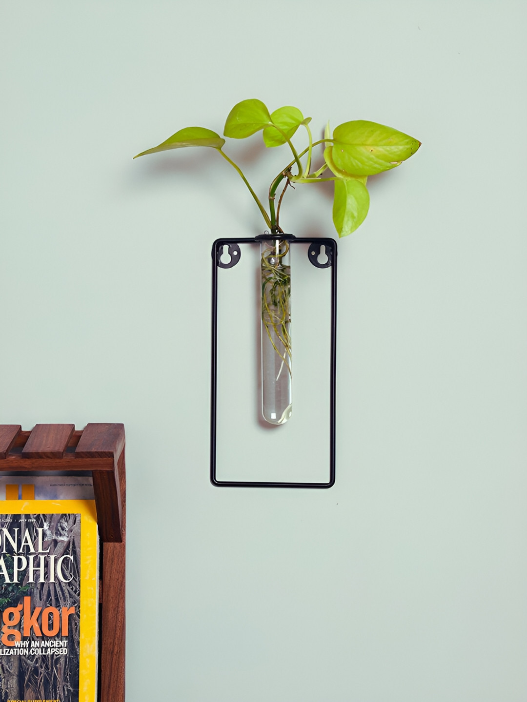 VarEesha Black & Transparent Rectangular Metal Planter With Tube