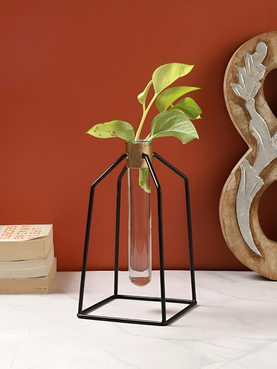 VarEesha Black & Transparent Metal Planter With Tube