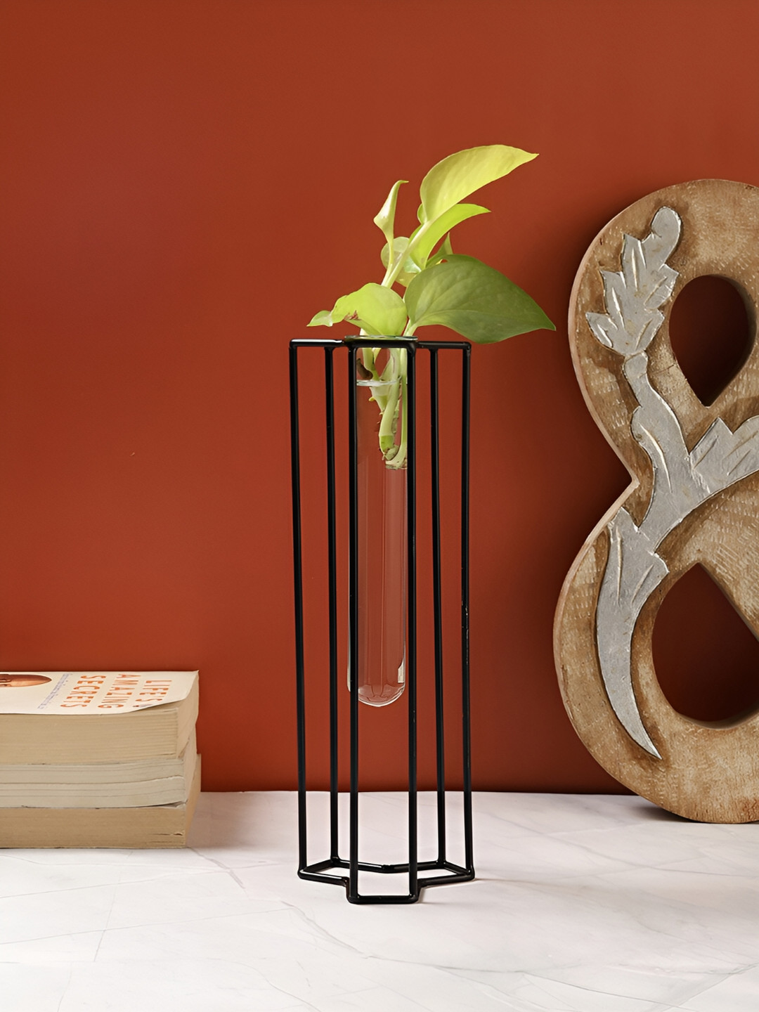 VarEesha Black & Transparent Textured Metal Planter With Tube