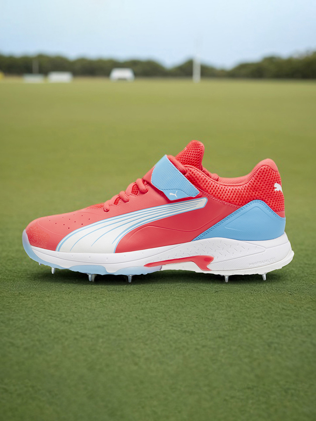 Puma Bowling 24.1 Printed Cricket Sports Shoes