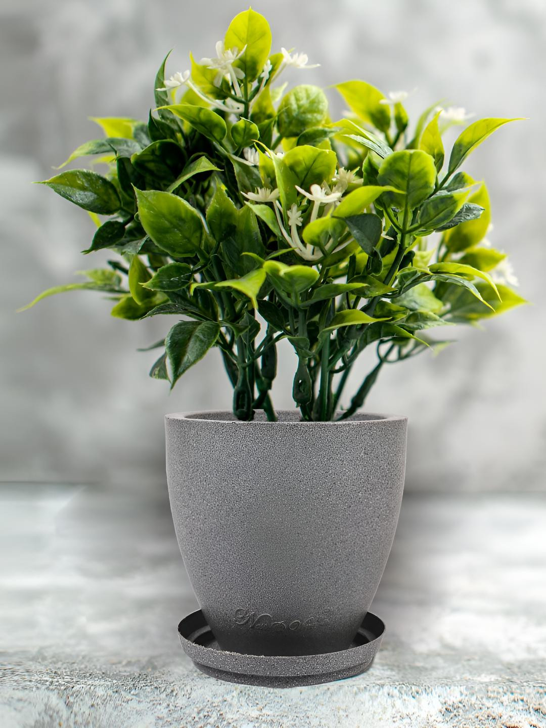 Nest&Vine Convessa Grey Textured Marble Planter with Tray