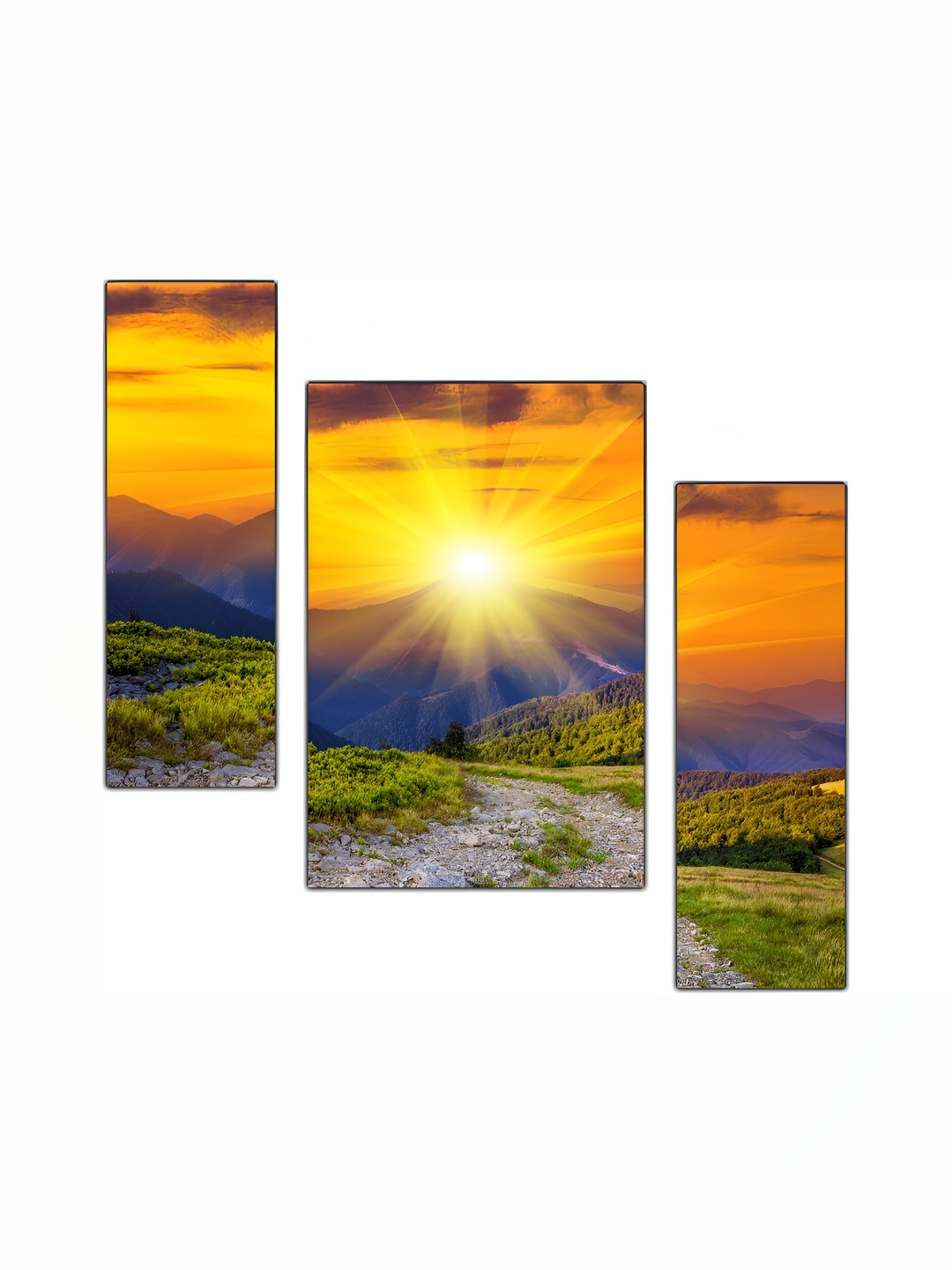 PnF Yellow & Blue 3 Piece Wood Floral and Botanical Wall Paintings