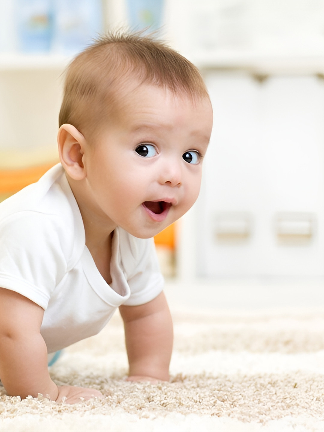 PnF Blue & White Paper Wall Decals and Stickers