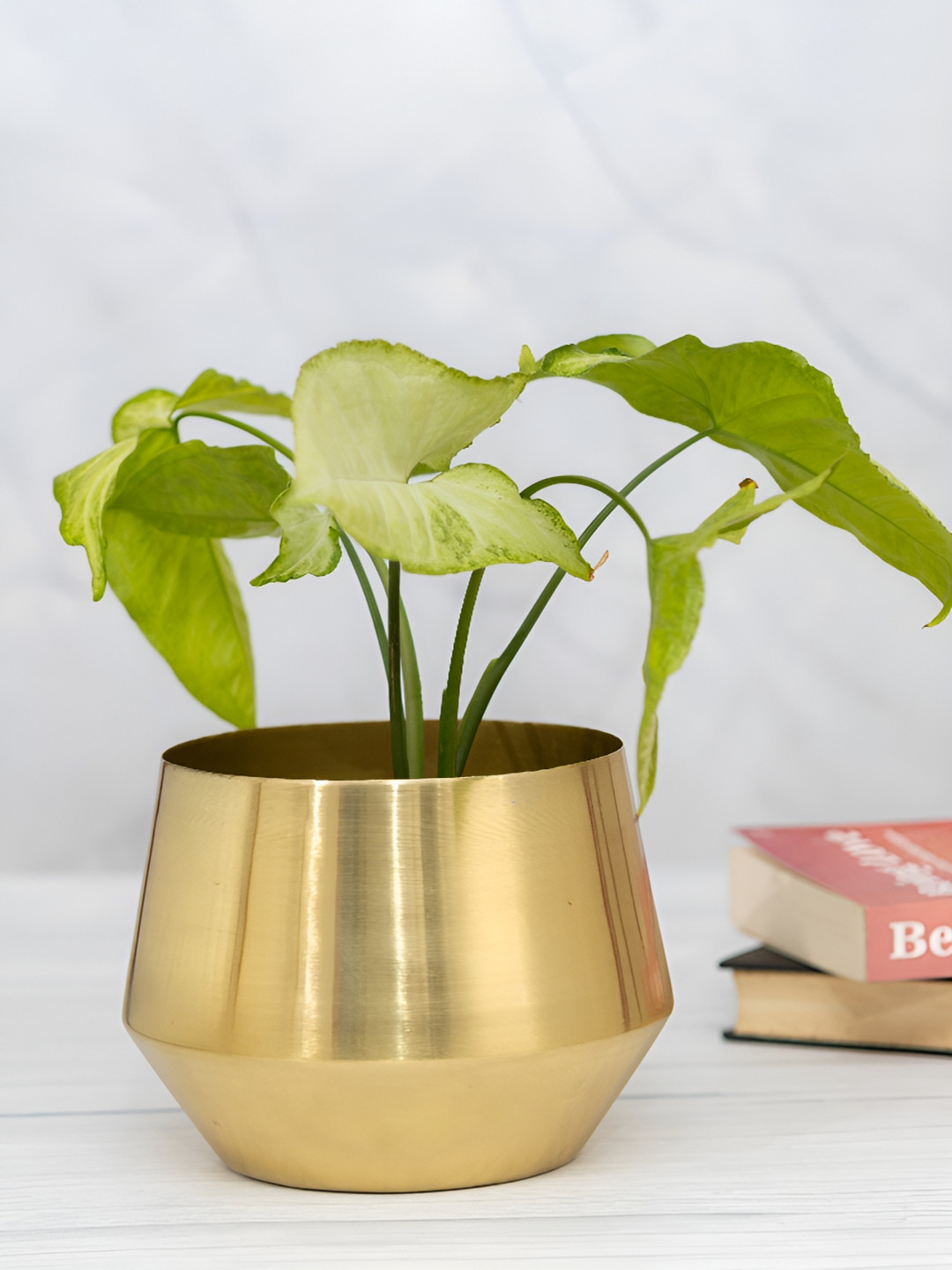 HomeShastra Oka Gold Toned Glossy Metal Planter