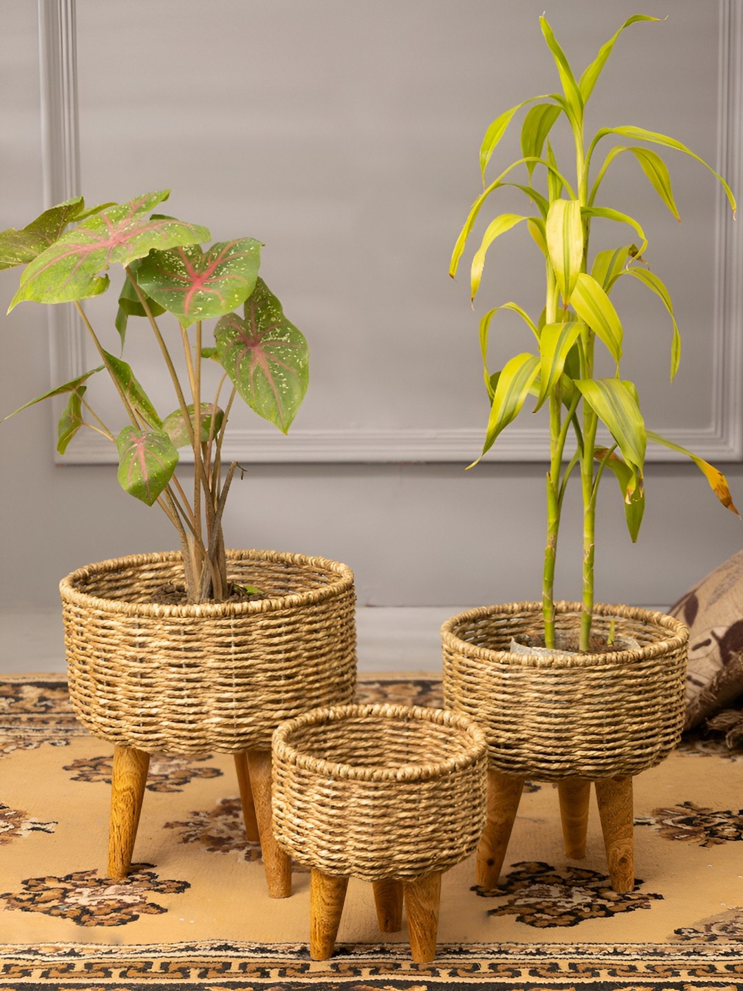 HomeShastra Brown 3 Pieces Patterned Jute Planters