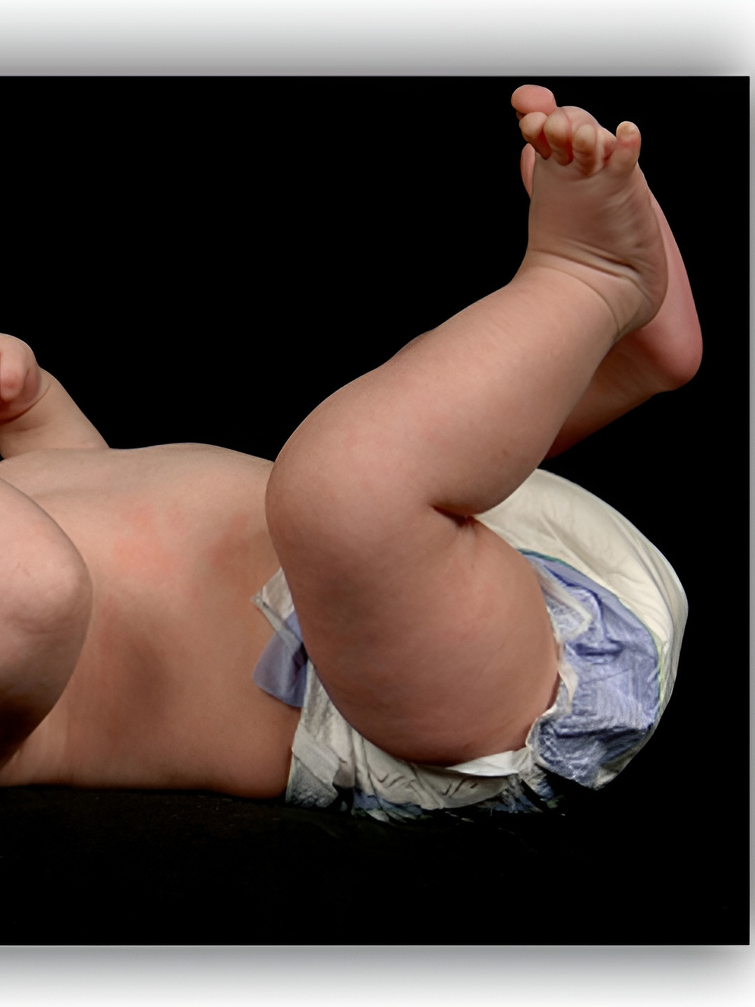 PnF Black & Tan Photographs Wall Art