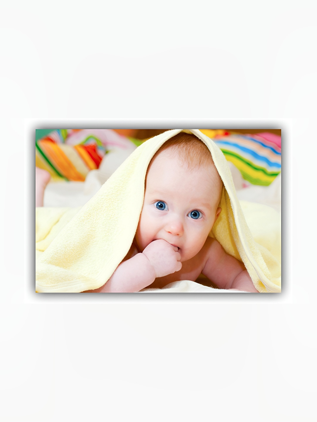 PnF Paper Wall Rectangle Photographs Wall Art - 17.99 x 12.00In