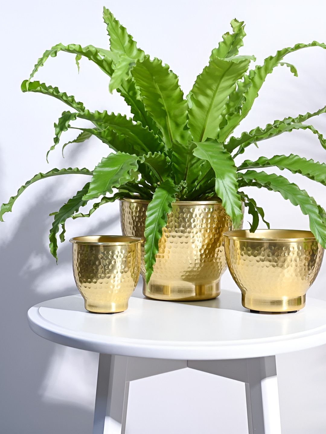 UGAOO Elegance 3 Pieces Gold-Toned Steel Planters
