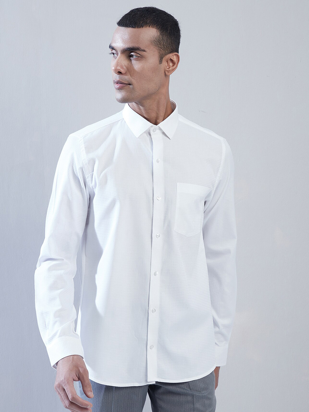 Turtle Standard Pure Cotton Formal Shirt