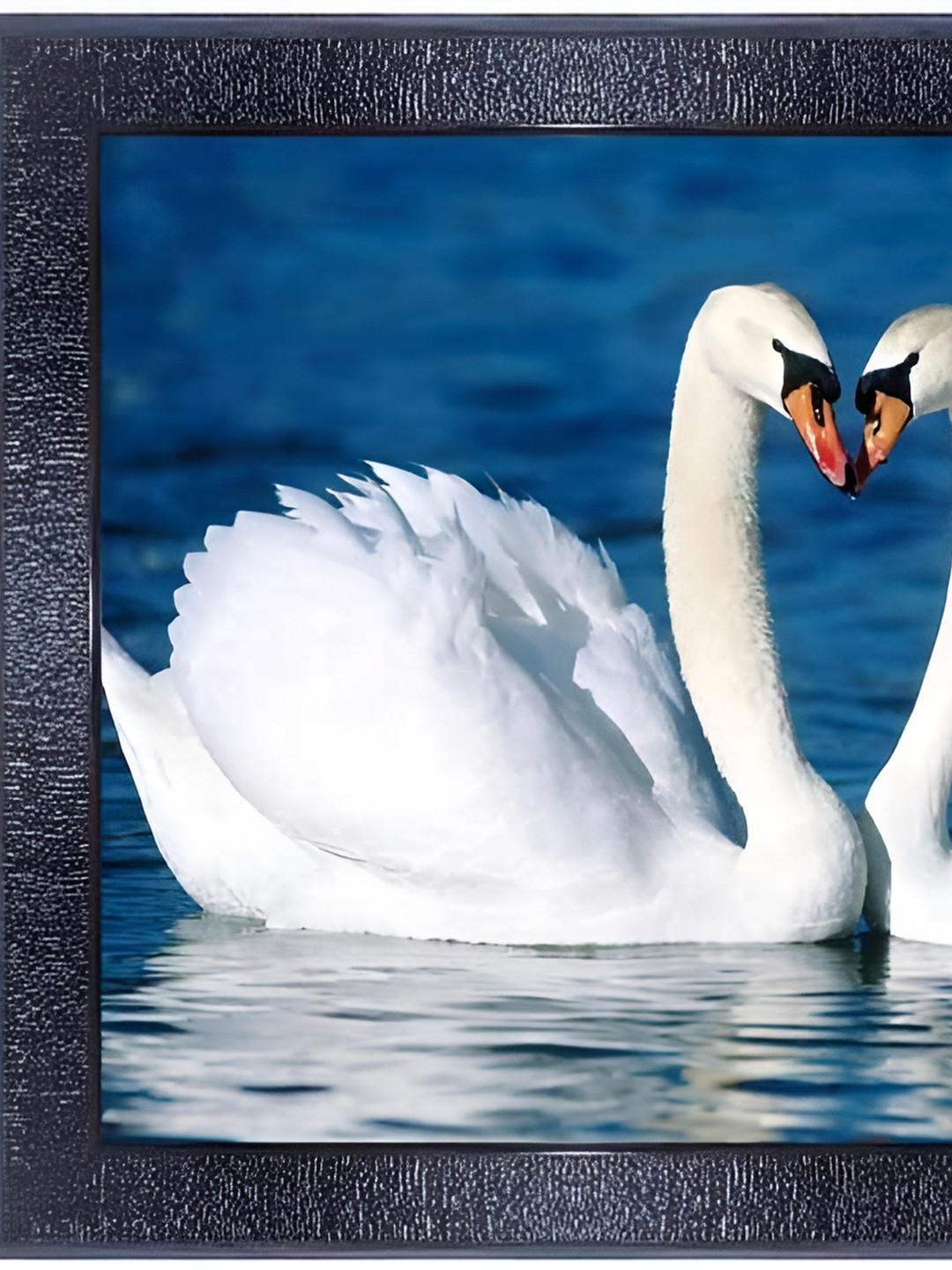 PnF Black & White Pair Of Swan Wooden Painting Wall Art