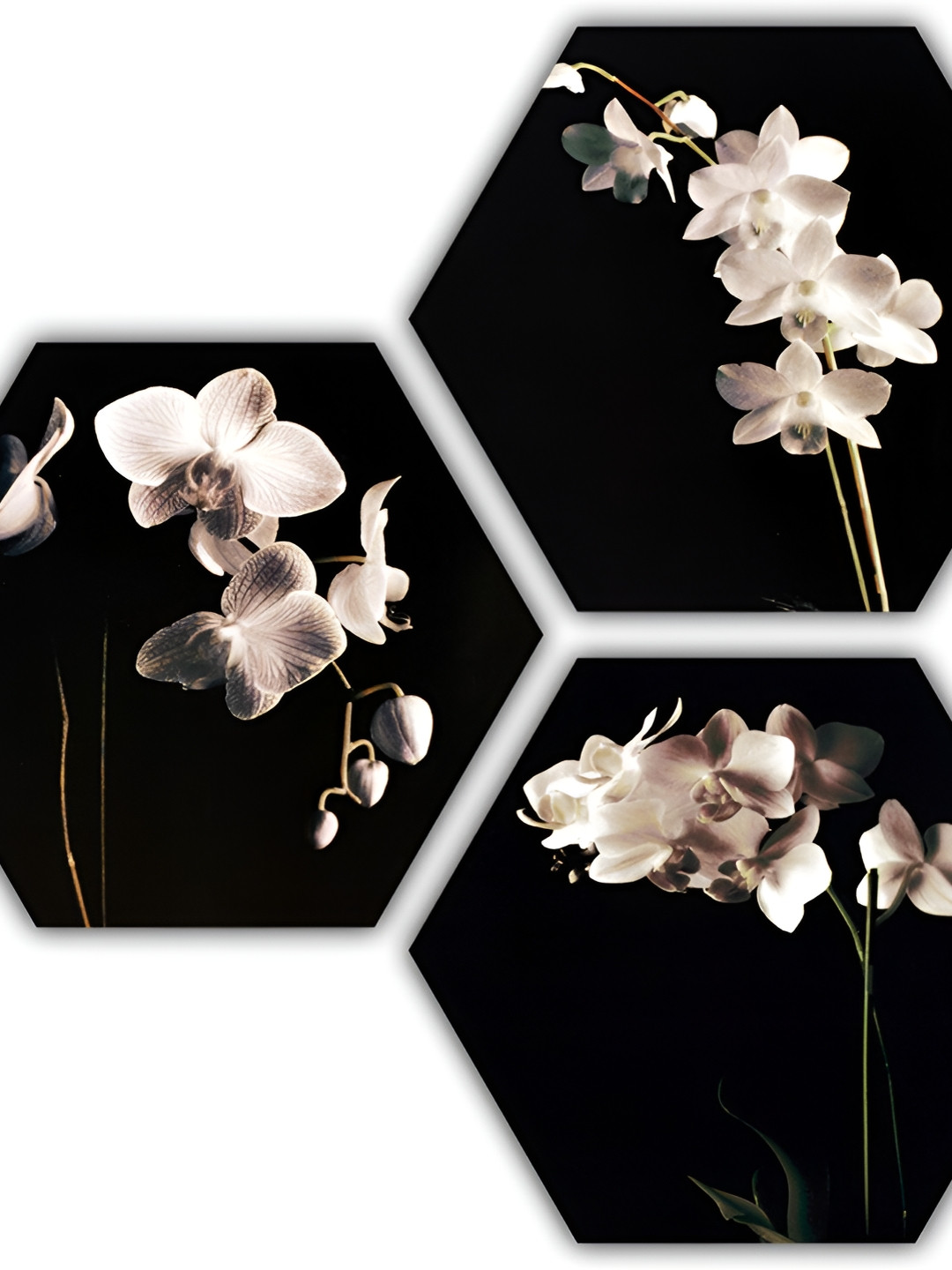 PnF Black & White 3 Pieces Wooden Floral and Botanical Painting Wall Art