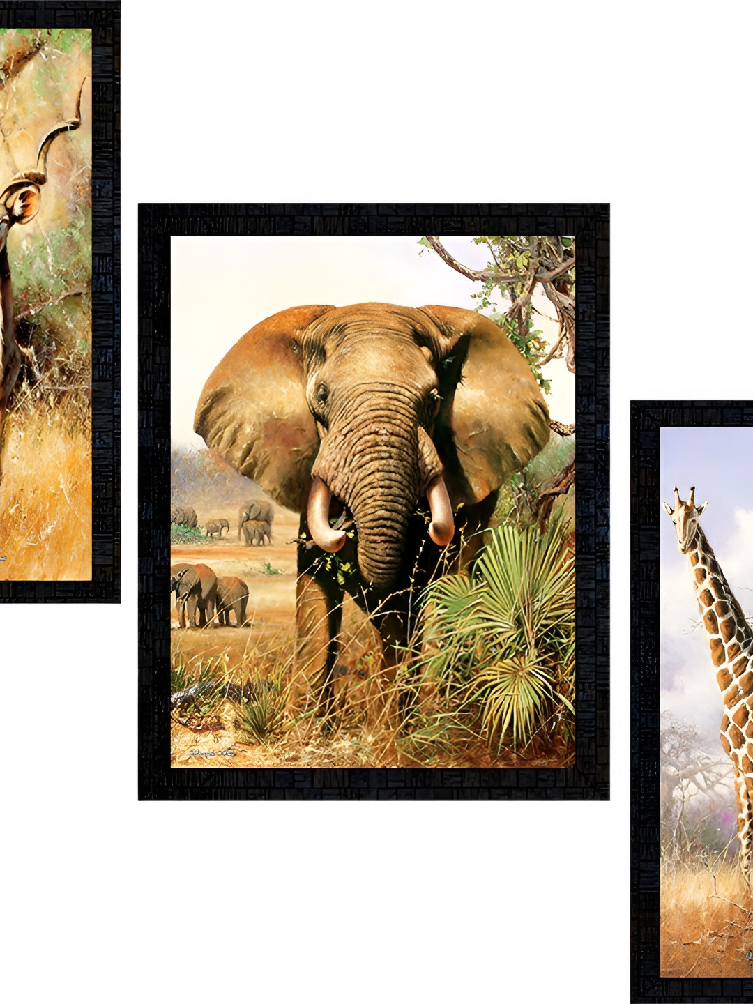 PnF Charcoal & White 3 Piece Paper Birds and Animals Wall Painting