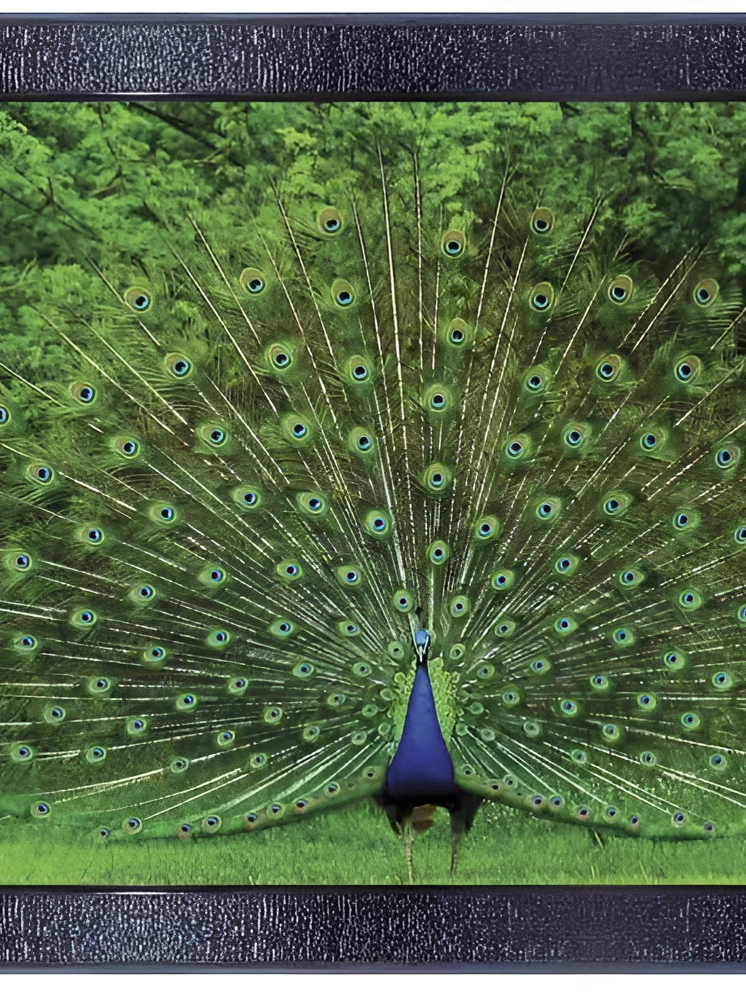 PnF Black Synthetic Wood Wall Living Room Rectangle Paintings Wall Art -10.24 x 13.78In