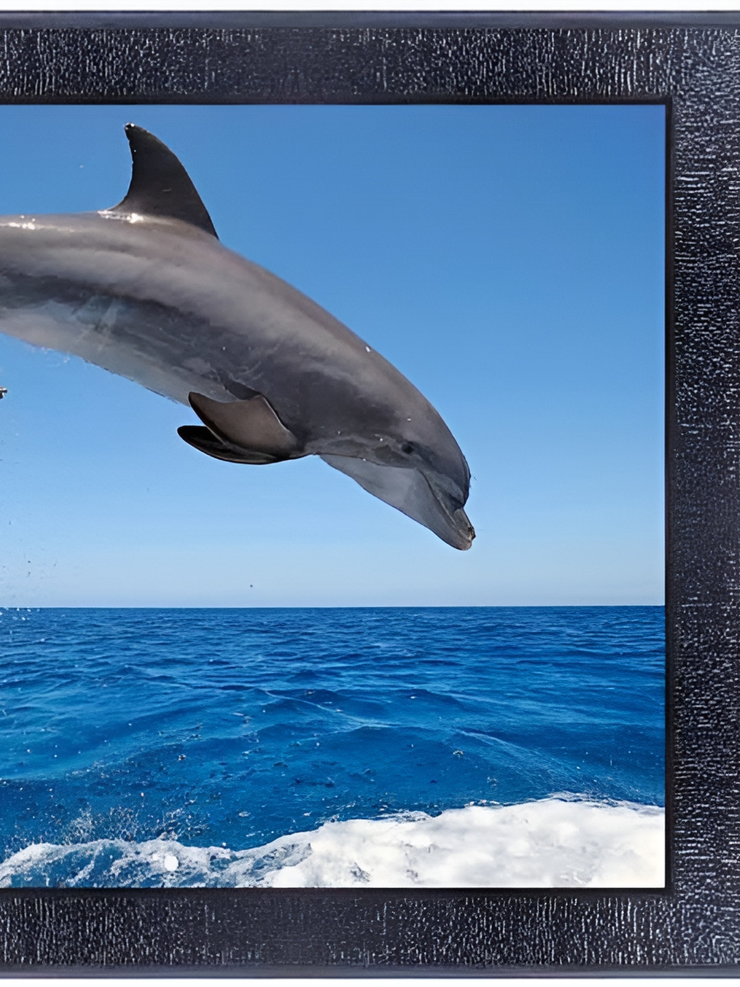 PnF Black & Blue Glass Birds and Animals Wall Art