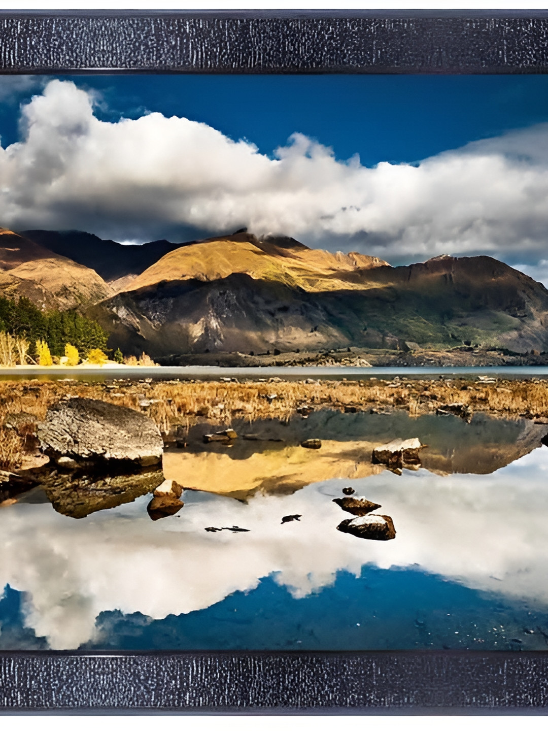 PnF Black & White Floral and Botanical Wooden Paintings Wall Art