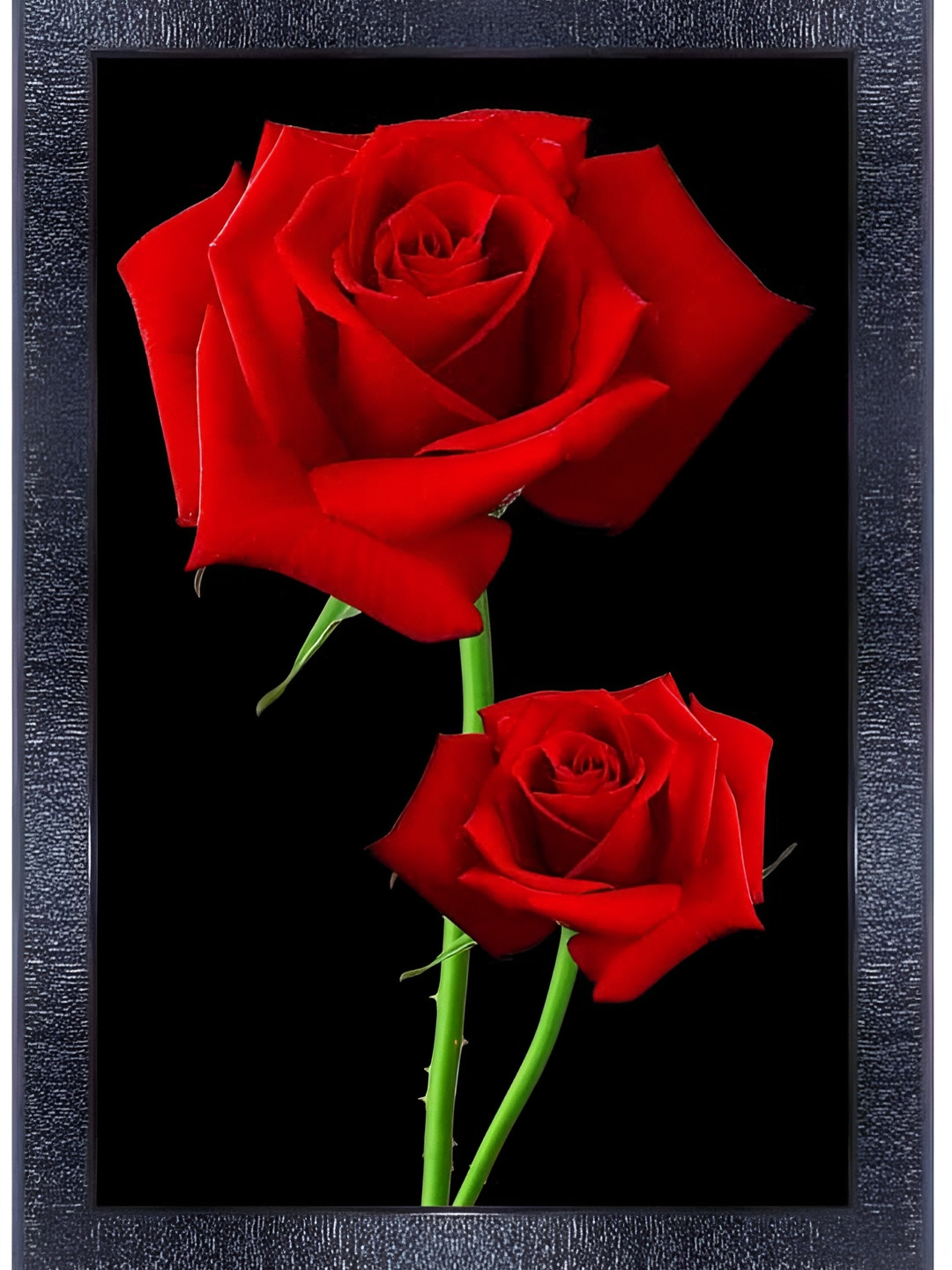 PnF Black & Red Roses Wooden Painting Wall Art
