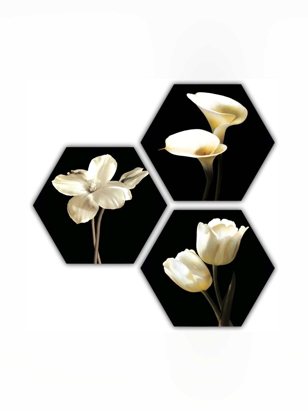 PnF Wood 3 Piece Wall Hexagon Paintings Wall Art -20.86 x 20.86 In