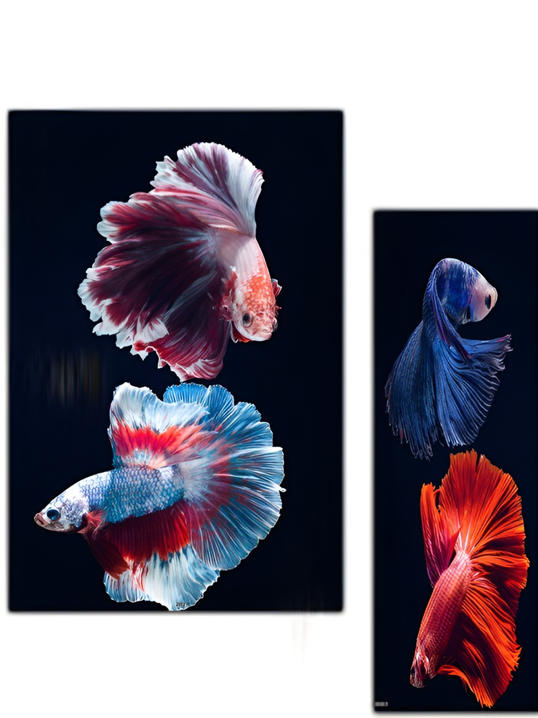 PnF Black & Blue 3 Piece Wooden Fish Wall Paintings