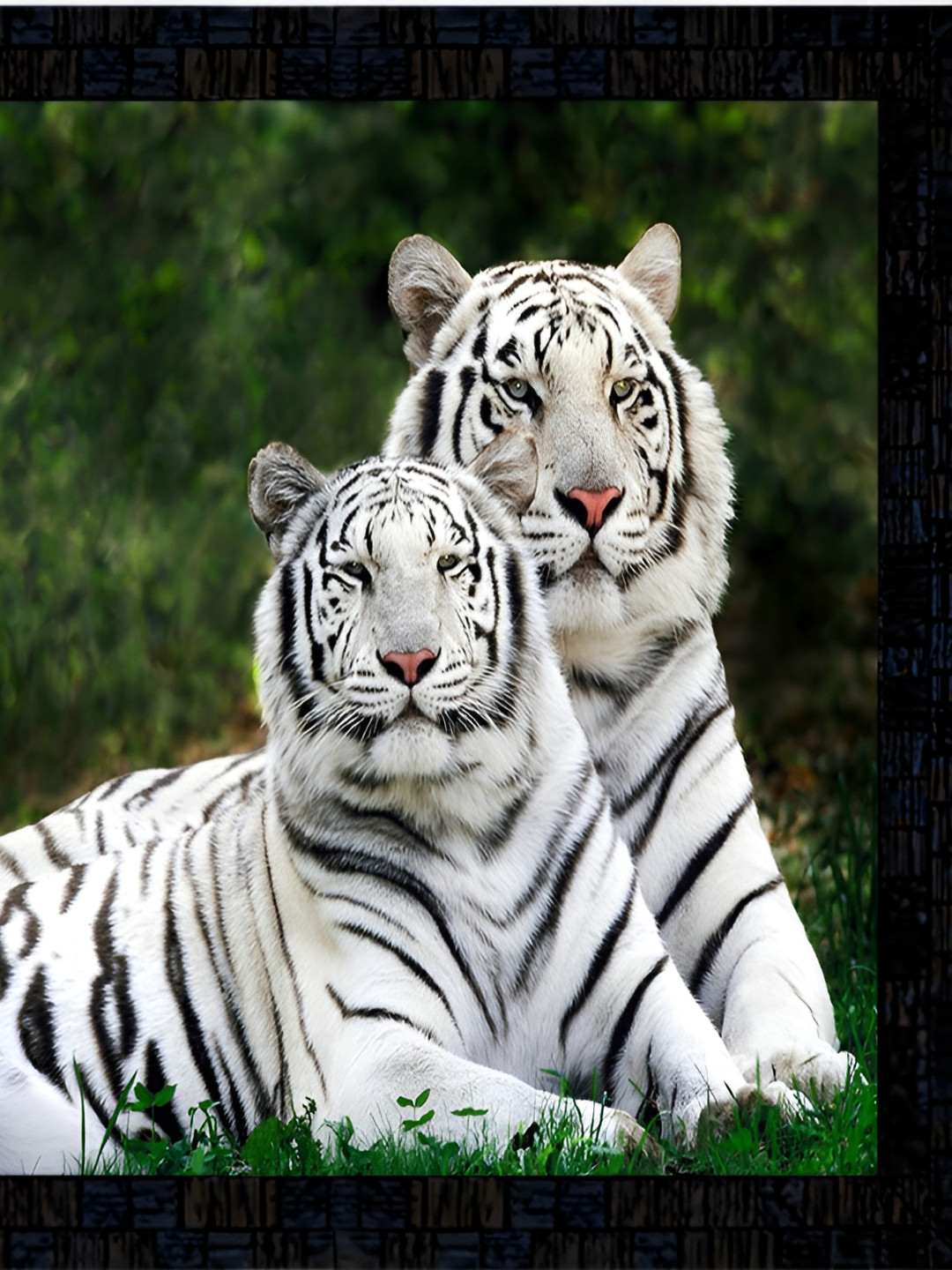 PnF Black & White Digital Printing Wooden Wall Art