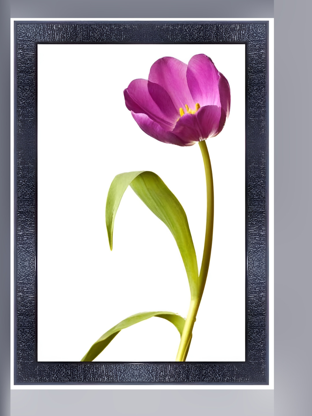 PnF Black & Purple Floral and Botanical Wall Art