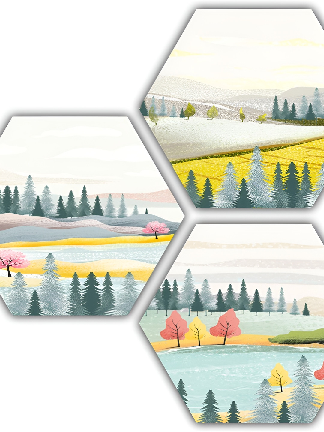 PnF Wood Wall Hexagon Photographs Wall Art