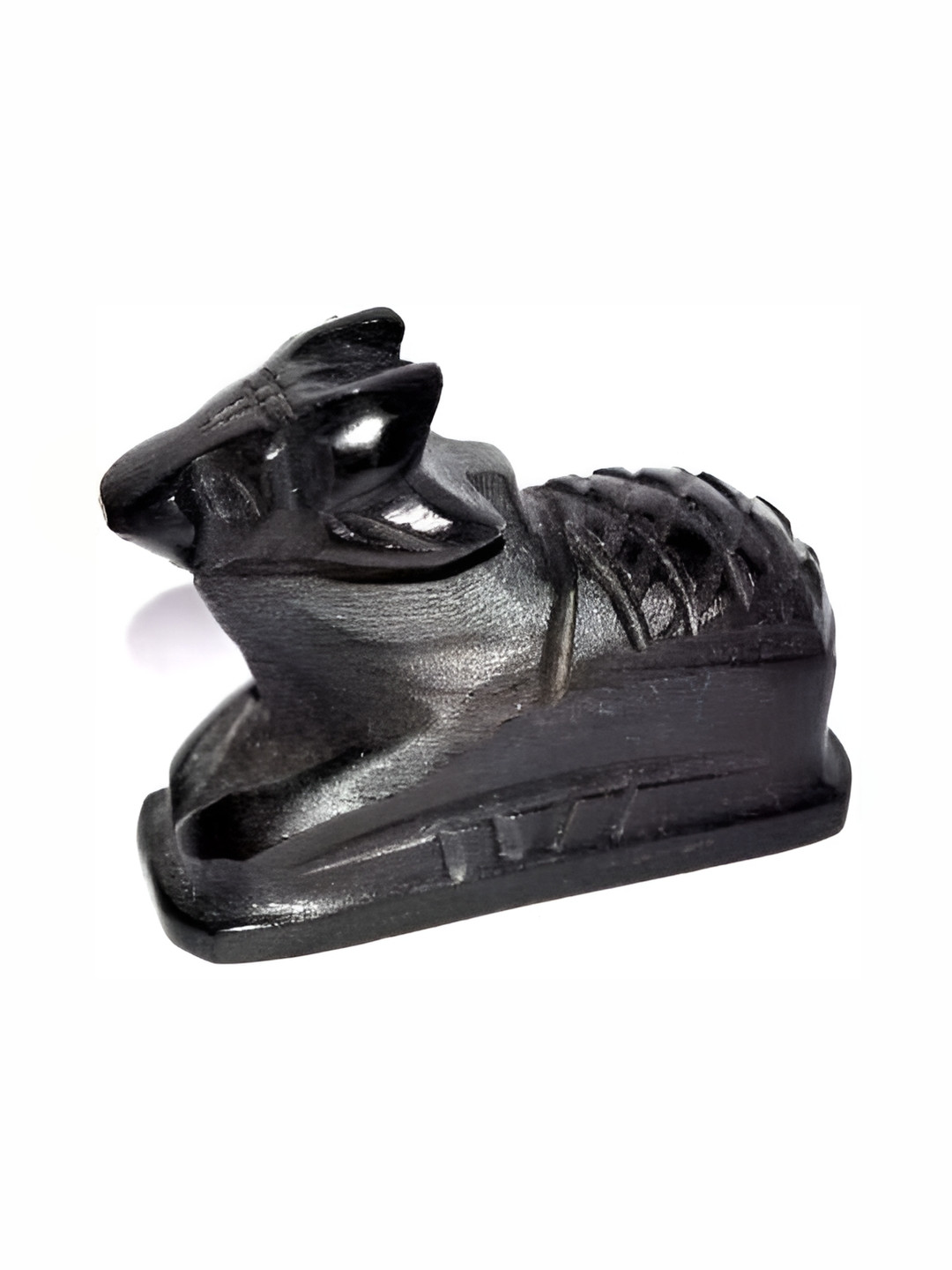 Navyaksh Nandi Black Stone Natural Prayer Room Small Showpiece -