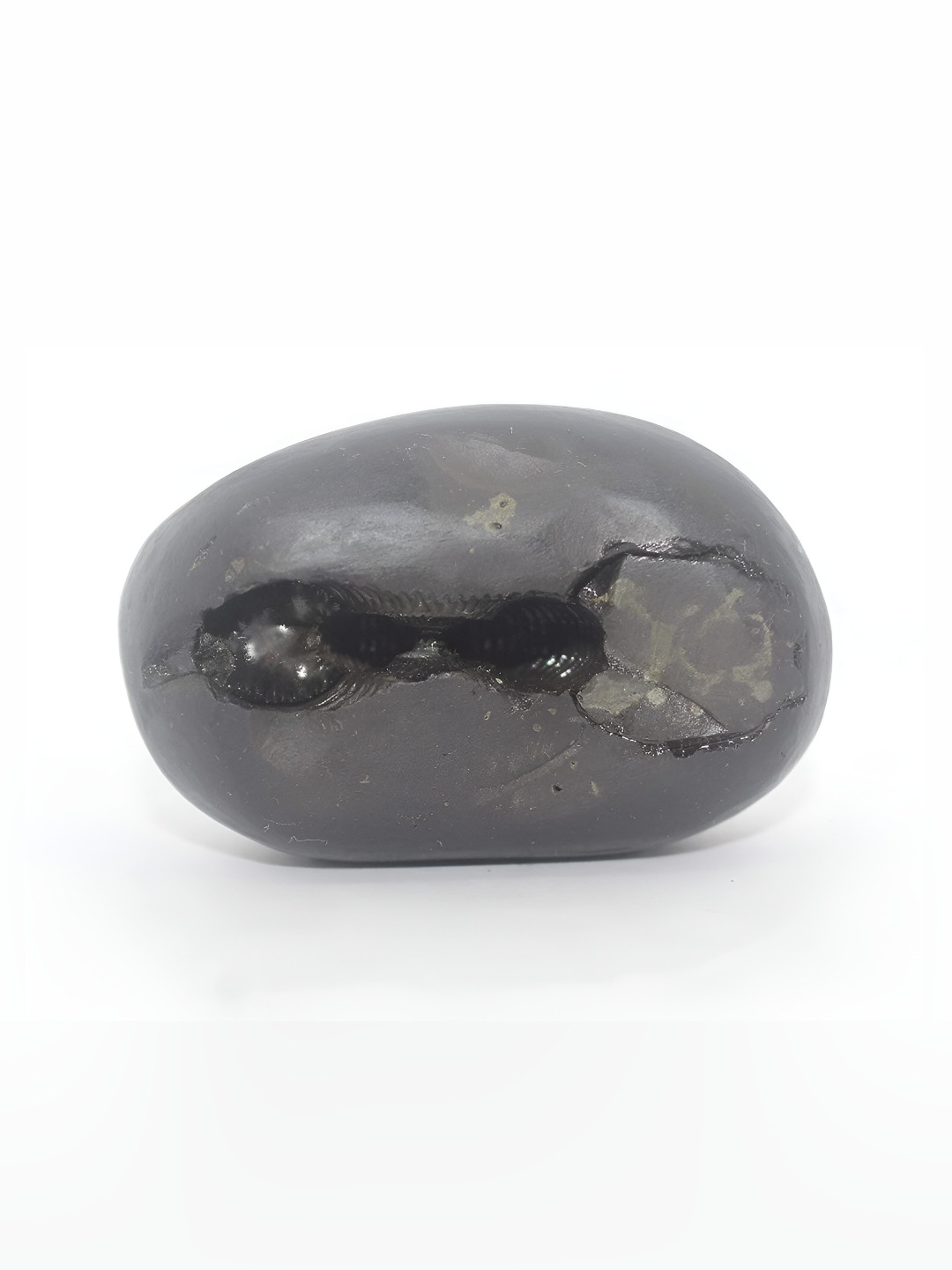 Navyaksh Chakra Saligram Black Metal Metallic Prayer Room Small Showpiece -