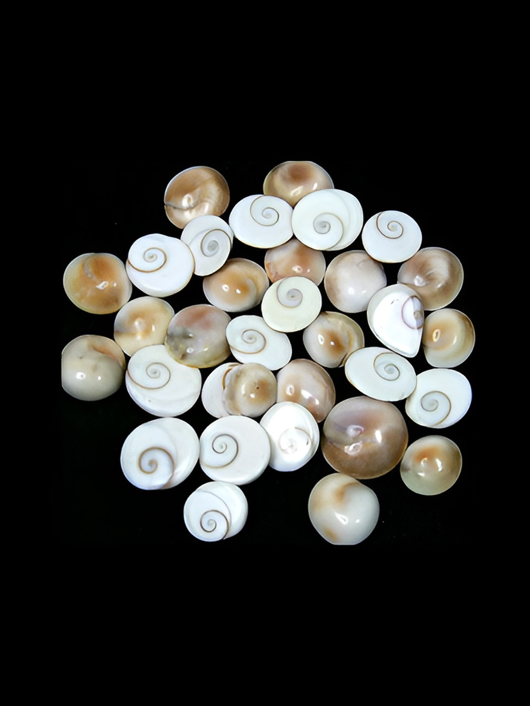 Navyaksh Gomti Chakra White Metal Metallic Living Room Set of 5 Medium Showpieces -