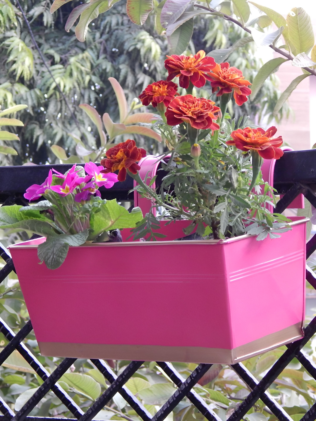 ecofynd Pink & White 6Pcs Metal Balcony Railing Planters