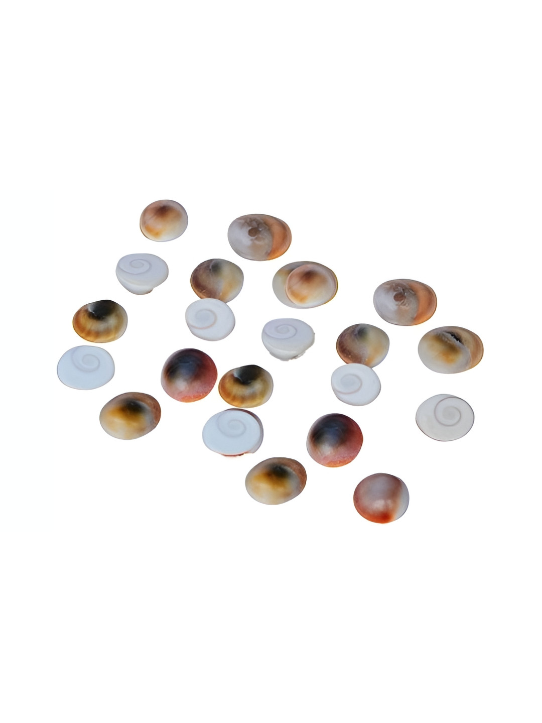 Navyaksh Gomti Chakra White Metal Metallic Living Room 21 Piece Tiny Showpieces -