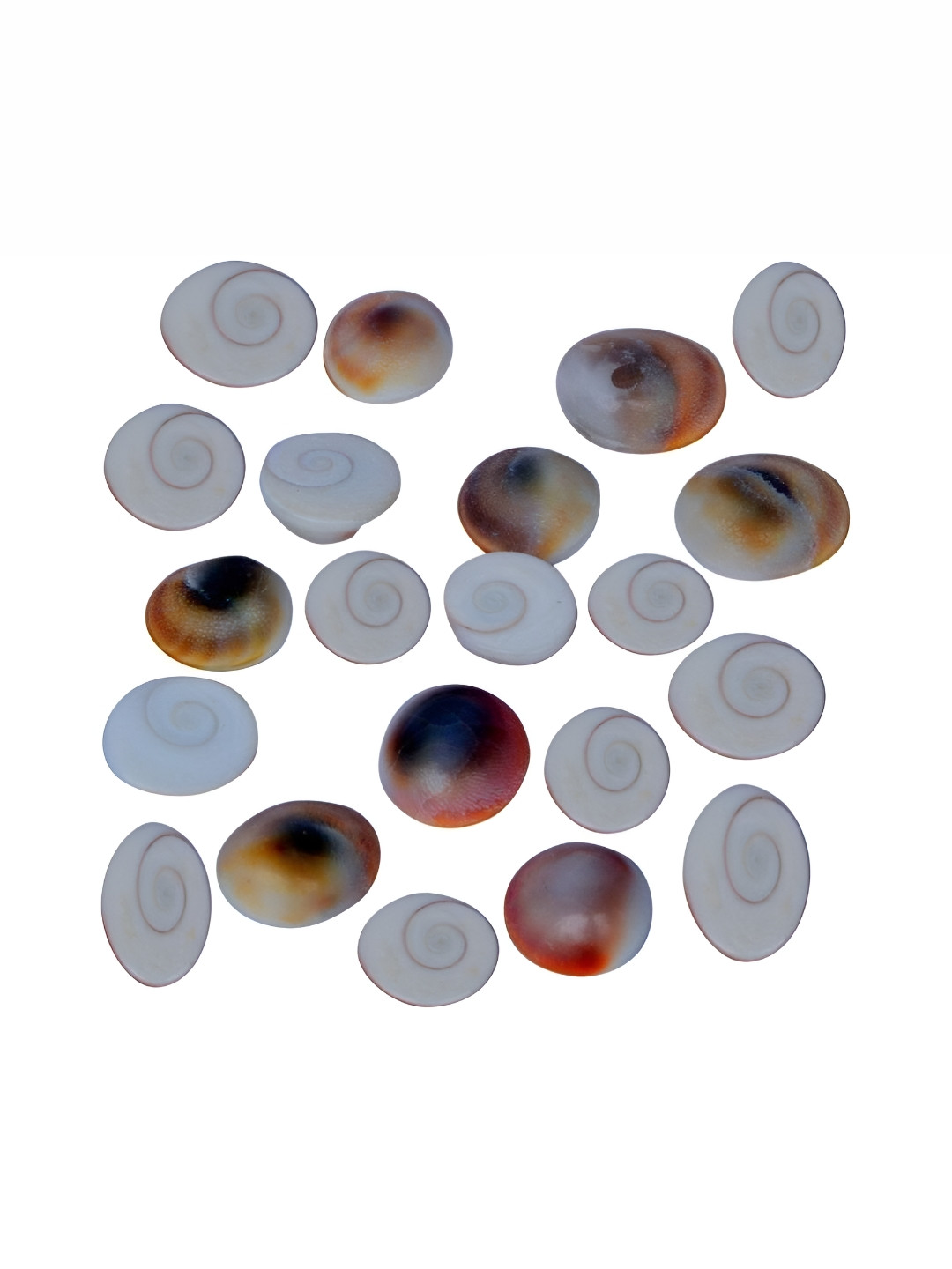 Navyaksh Gomti Chakra White Metal Metallic Living Room 21 Piece Small Showpieces -