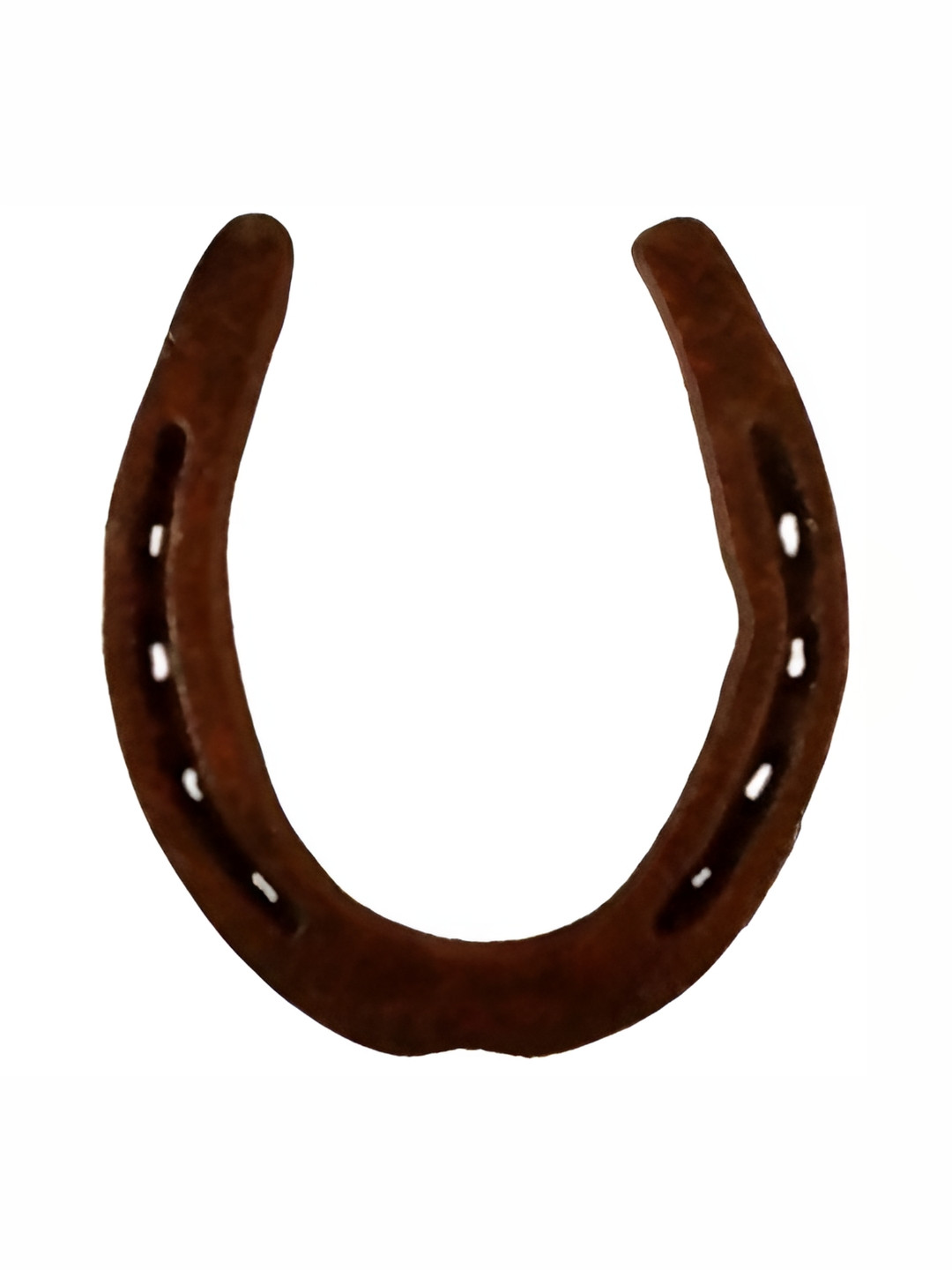 Navyaksh Ghode Ki Naal Black Metal Metallic Living Room Small Showpiece -