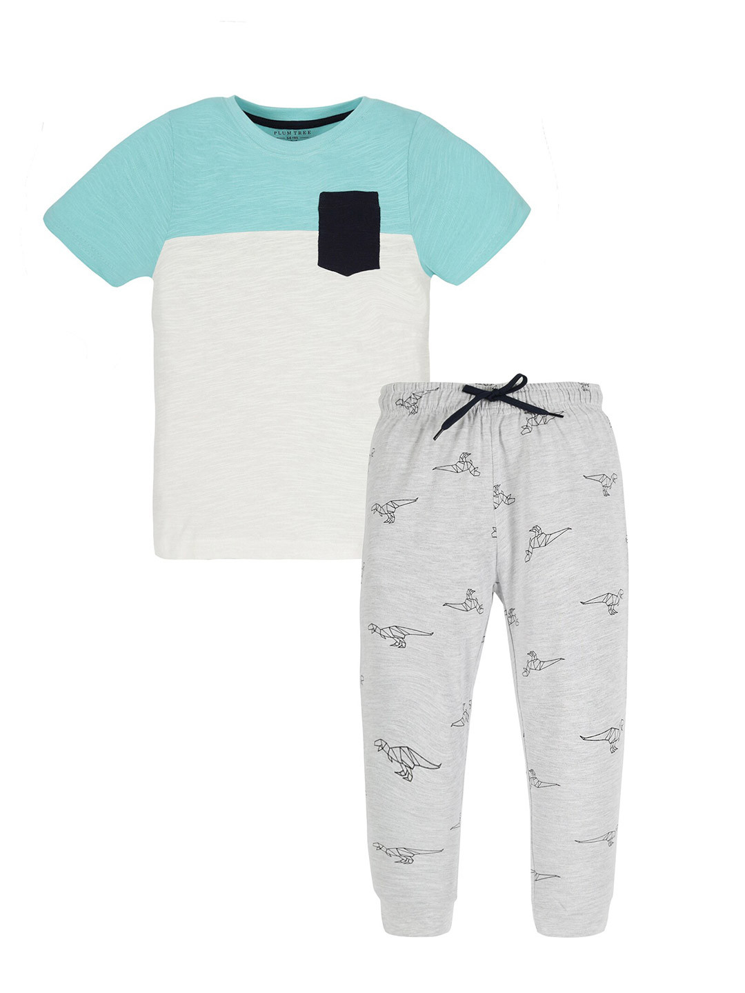 PLUM TREE Boys Colourblocked T-Shirt With Trouser