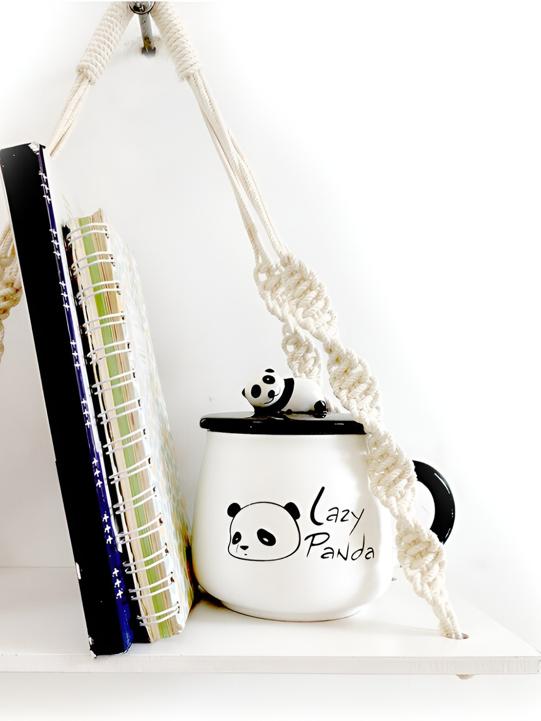 VAH Kya Bat Hai !! Wood Rope Wall Plant Shelves