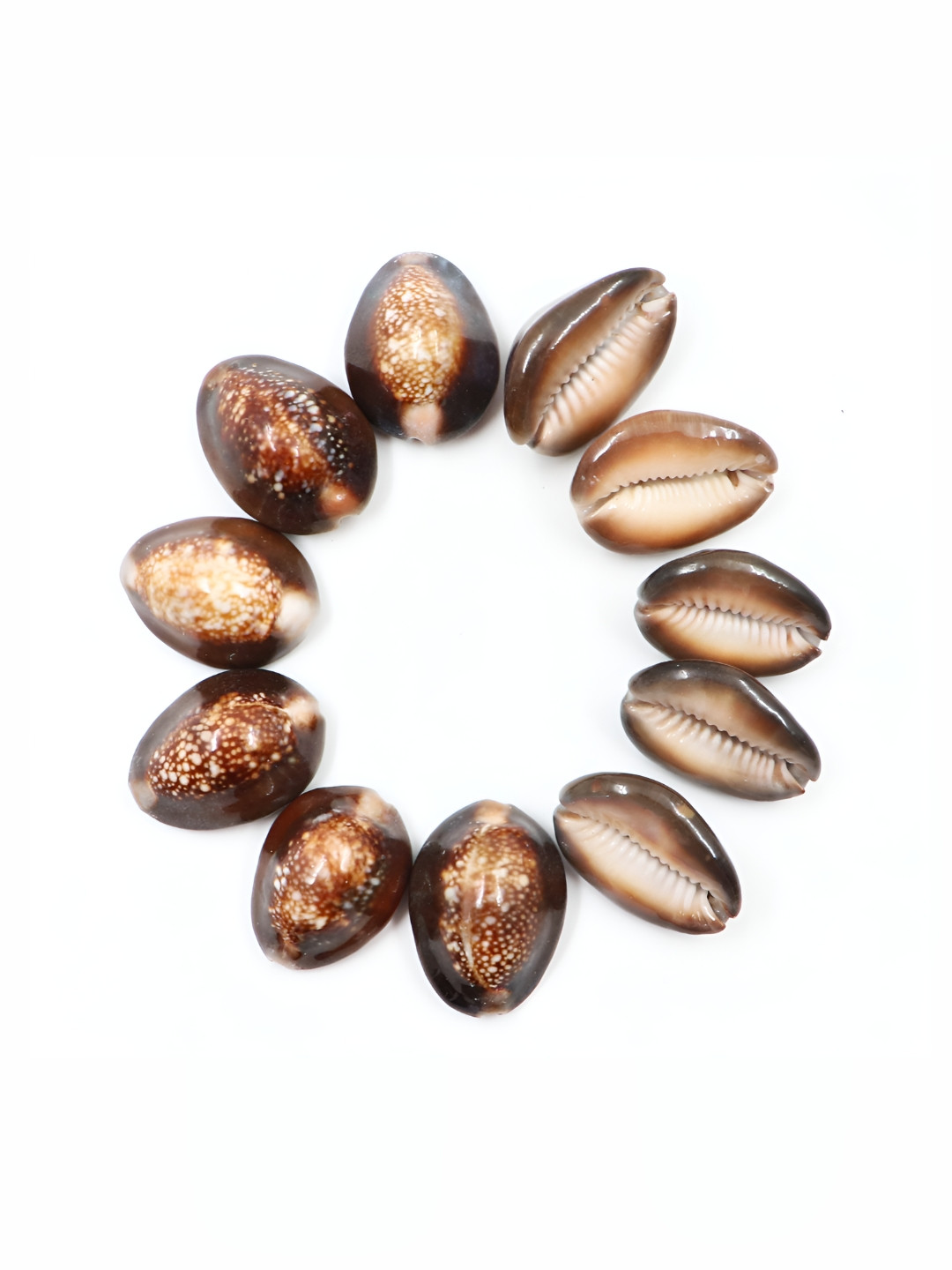 Navyaksh Brown Stone Natural Prayer Room 11 Piece Small Showpieces - 1.1 Inches