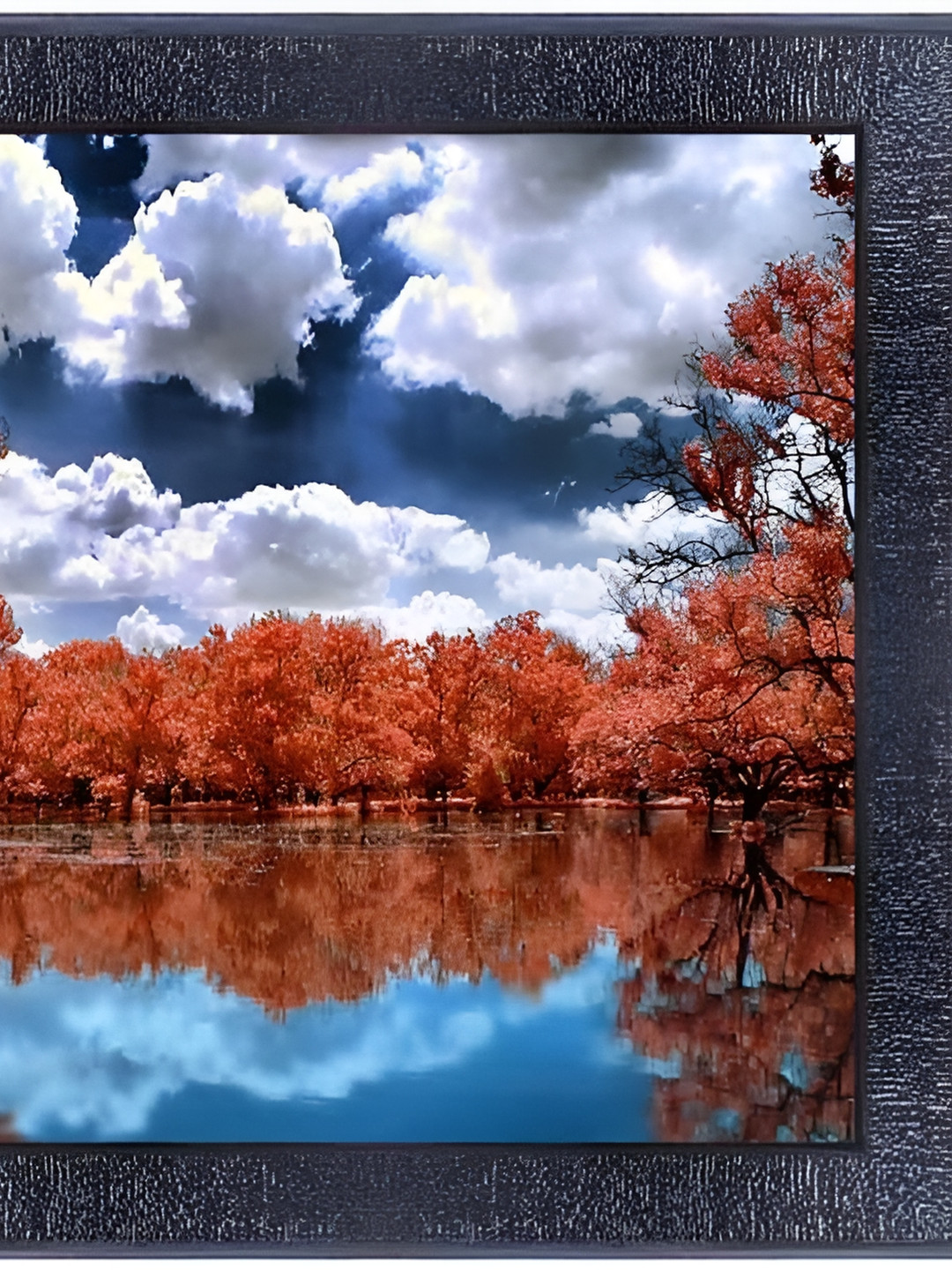 PnF Black & Orange Wooden Floral and Botanical Wall Art