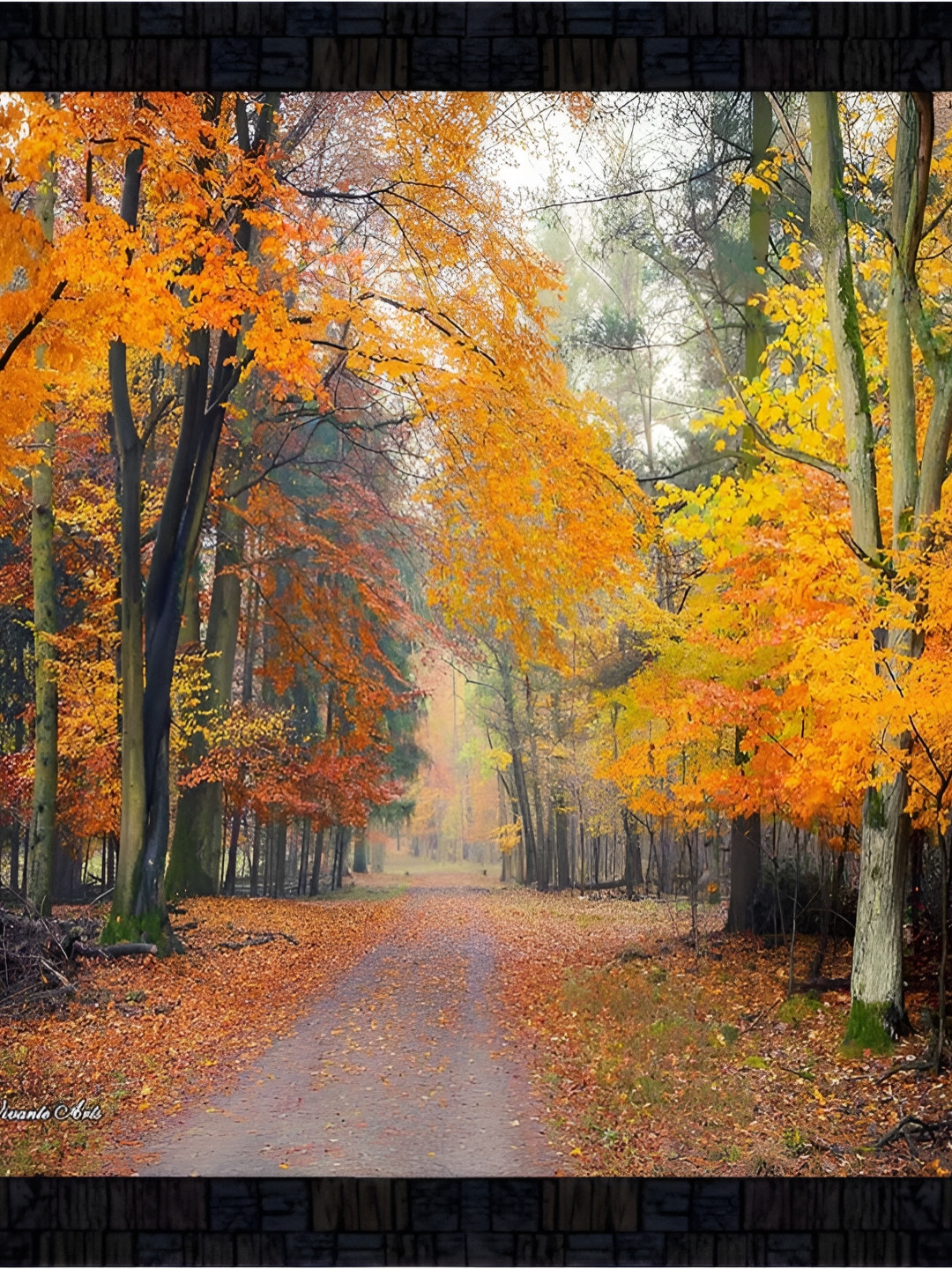 PnF Yellow & Black Photograph Wall Art