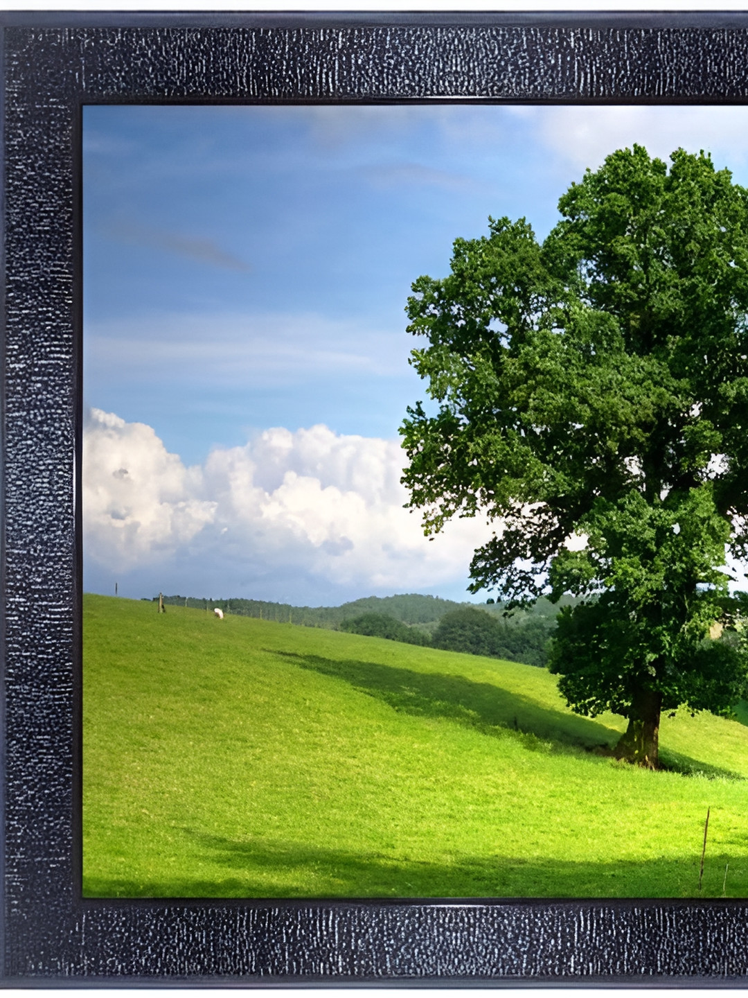 PnF Black & Green Nature Photograph Wooden Wall Art