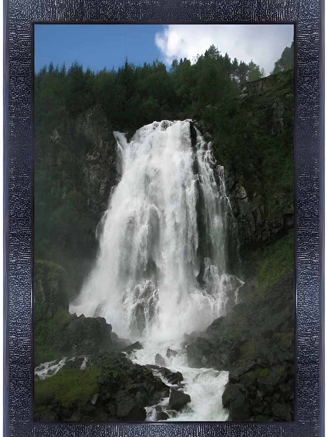 PnF Black & White Floral and Botanical Wooden Photograph Wall Art