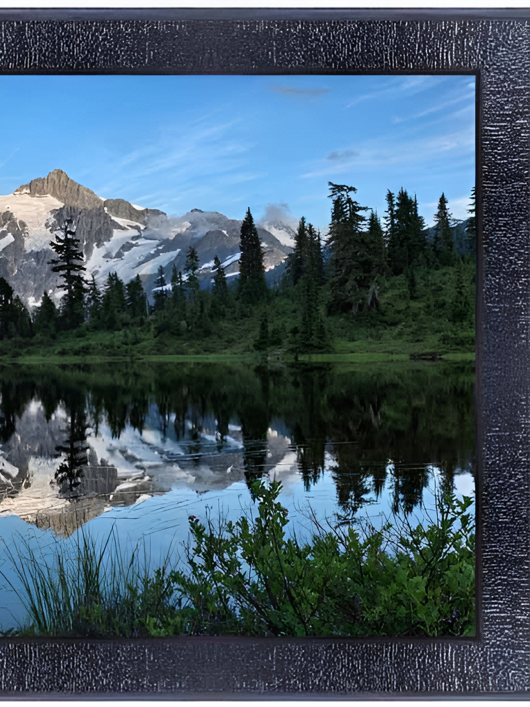 PnF Black & Blue Canvas Printed Wall Art